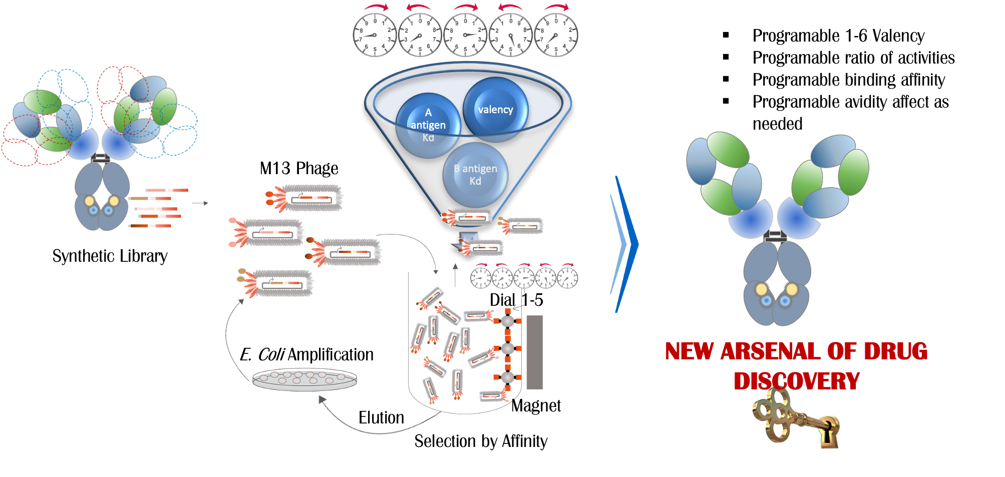 Design, Selection, Optimization, CLD, CMC, and IND Filing, All within 18 Months